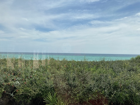 Leaked cass_88 header onlyfans leaked