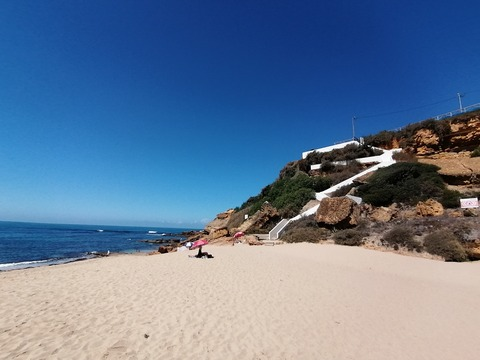 Leaked catarinaborges header onlyfans leaked