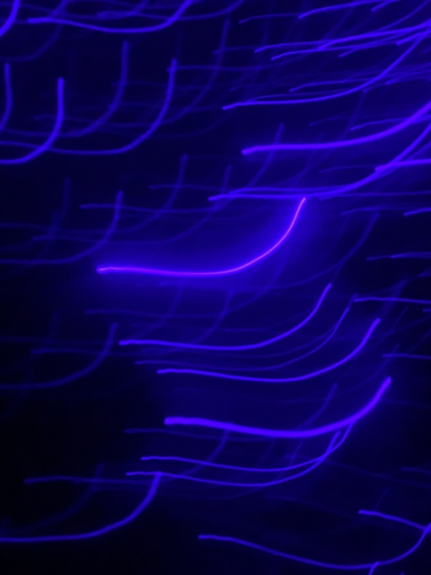 Leaked ceceracee header onlyfans leaked