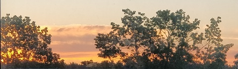 Leaked cedsn header onlyfans leaked