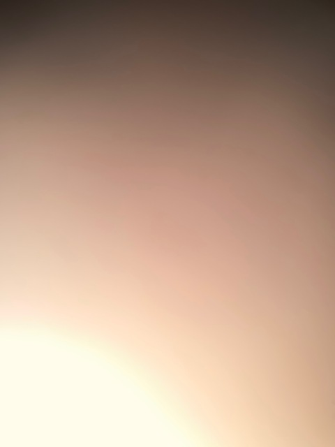 Leaked celeste01 header onlyfans leaked