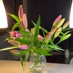 Leaked chanelbabe143 onlyfans leaked