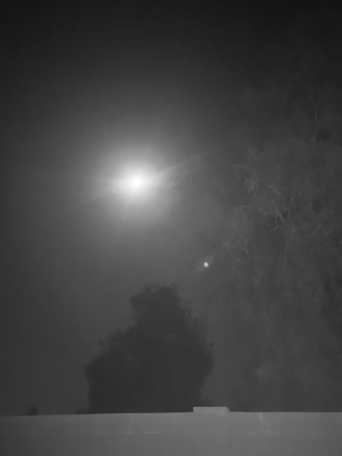 Leaked chelseavmc header onlyfans leaked