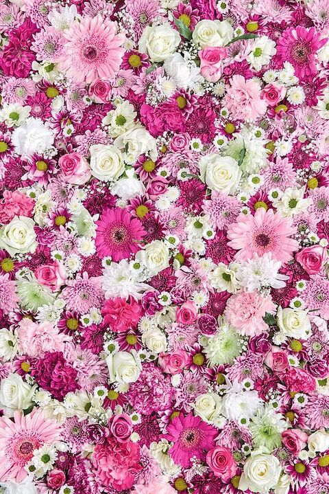 Leaked christina_x header onlyfans leaked