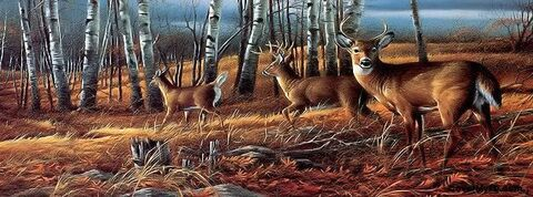 Leaked christophercross header onlyfans leaked