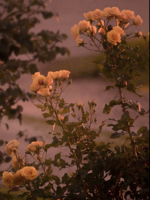 Leaked chubbysucker header onlyfans leaked