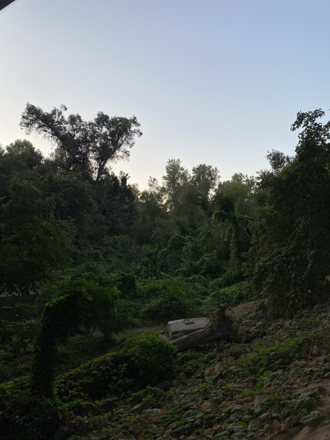 Leaked cinnamonpixi header onlyfans leaked