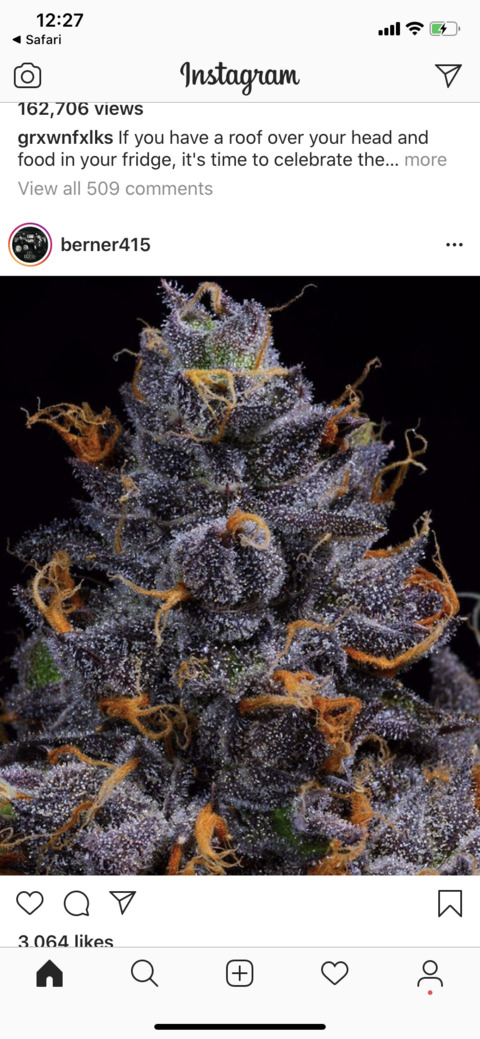 Leaked climaximus header onlyfans leaked