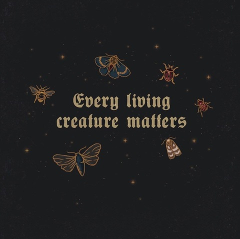 Leaked contributechaos header onlyfans leaked