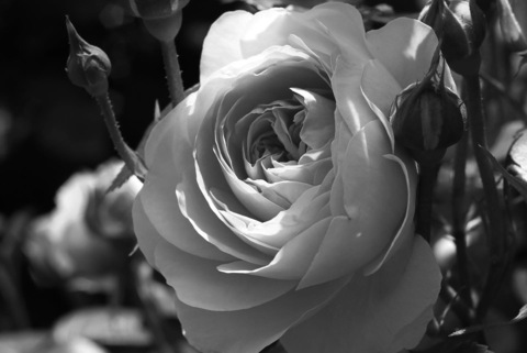 Leaked corpsemother header onlyfans leaked