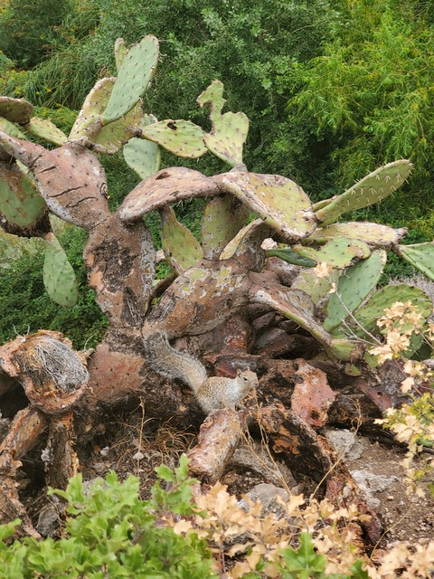 Leaked crystalbabylynn_ header onlyfans leaked