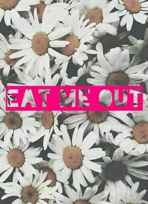 Header of cuntbunnyprincess666