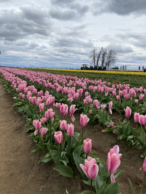 Leaked curvy-momma header onlyfans leaked