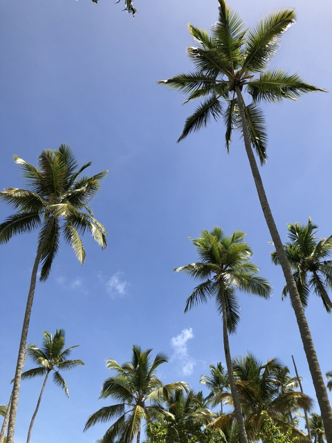 Leaked daddygangx header onlyfans leaked