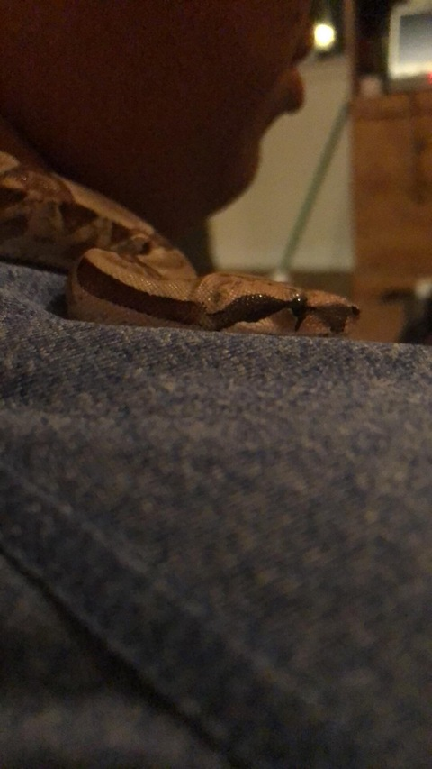 Leaked daddyslittle24 header onlyfans leaked