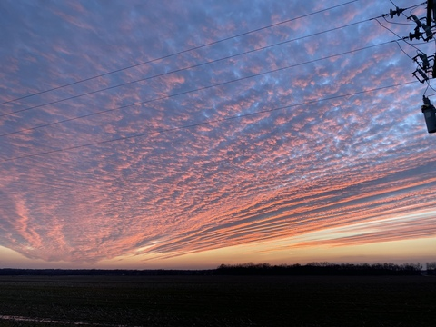 Leaked daisykat header onlyfans leaked