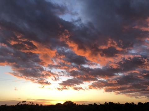 Leaked danjo4 header onlyfans leaked