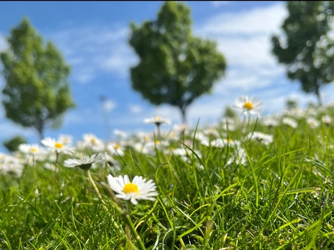 Leaked dannii_amado header onlyfans leaked