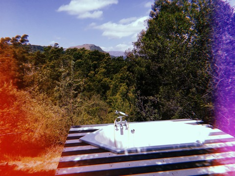 Leaked daphne_evergreenxxx header onlyfans leaked