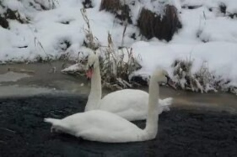 Leaked darbiebaby header onlyfans leaked