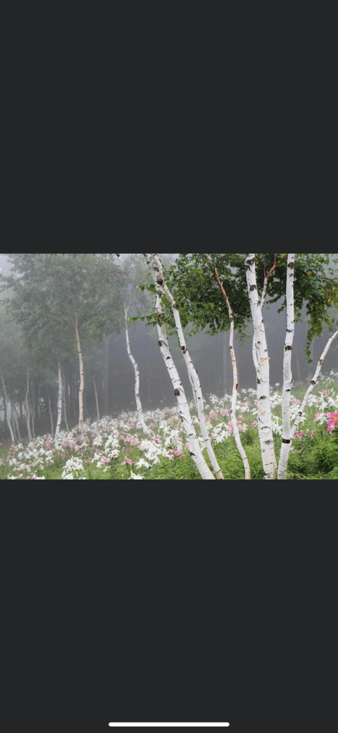 Leaked dawnmeow header onlyfans leaked