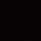 day1fan (Chief) OnlyFans content 

 profile picture