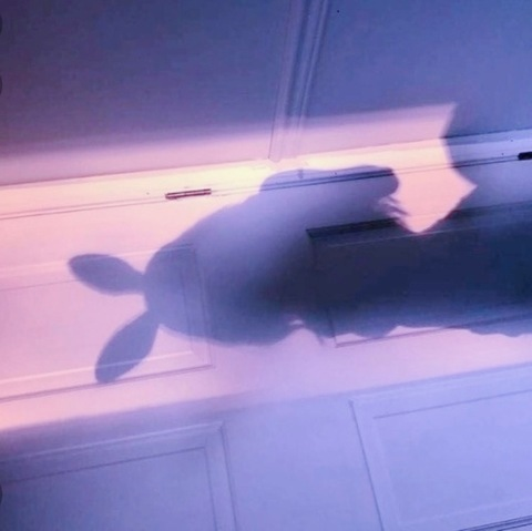 Leaked daybunni header onlyfans leaked