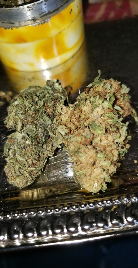 Leaked dazeddawn94 header onlyfans leaked