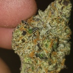 Leaked dboy1991 onlyfans leaked