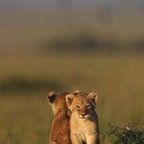 Leaked dbvsm onlyfans leaked