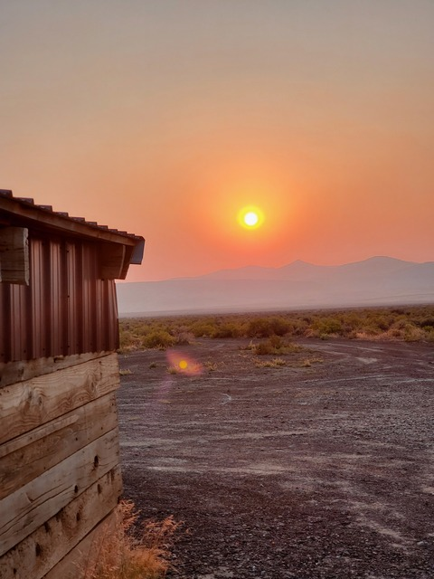 Leaked desertbare header onlyfans leaked