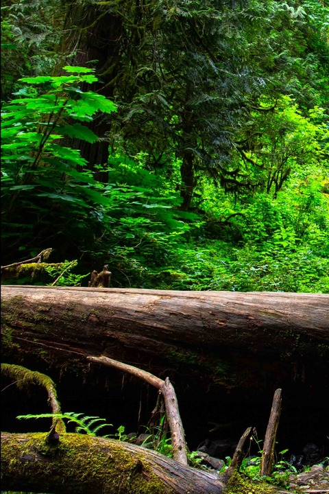 Leaked dild0baggins header onlyfans leaked