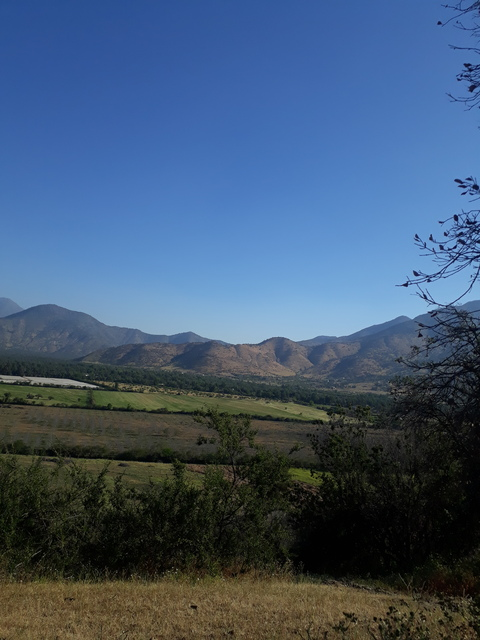 Leaked dirtybitchh header onlyfans leaked