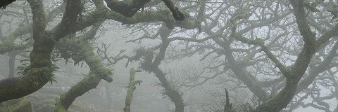 Leaked ditsyaddison header onlyfans leaked