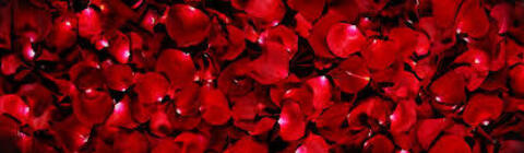 Leaked dreamsmaudi header onlyfans leaked