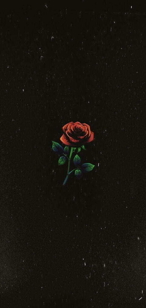 Leaked dyneseman header onlyfans leaked