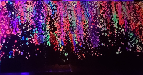 Leaked edwinperaltasd header onlyfans leaked