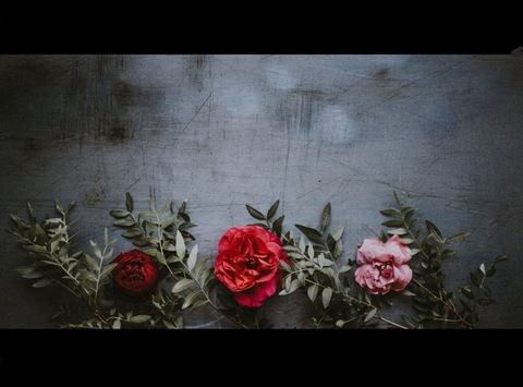 Leaked ellarosexofree header onlyfans leaked