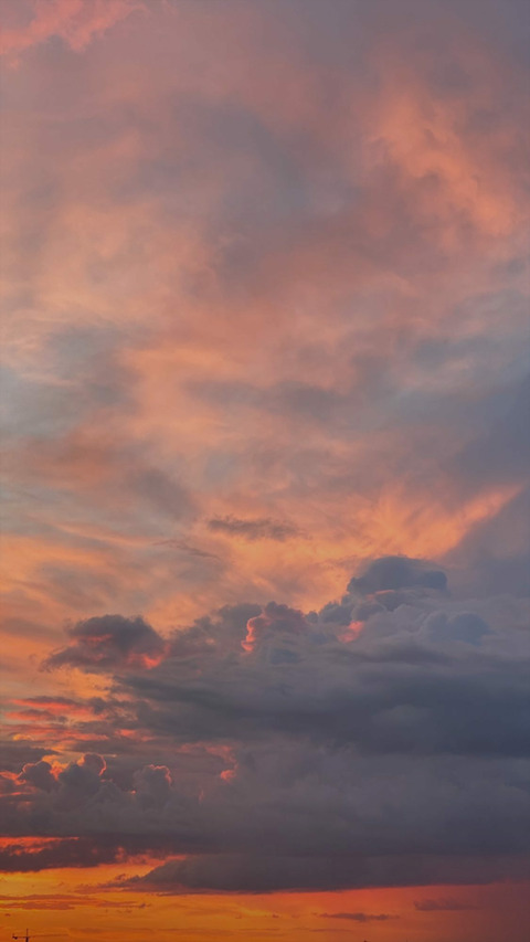 Leaked emily-t header onlyfans leaked