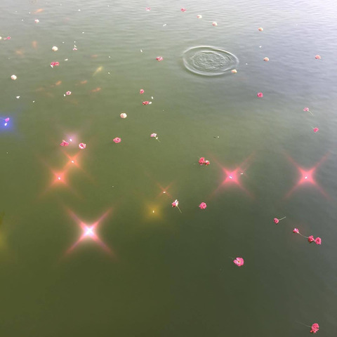 Leaked ethere-el header onlyfans leaked