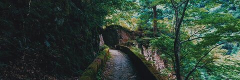 Leaked explodedsoda header onlyfans leaked