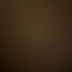 Leaked f0xxxybrown onlyfans leaked