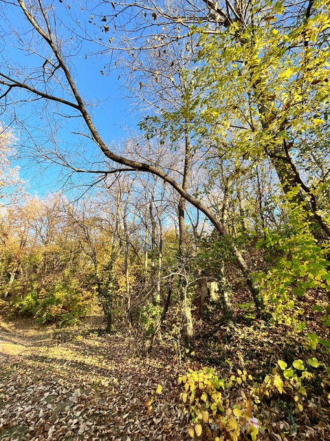 Leaked fairymay2319 header onlyfans leaked