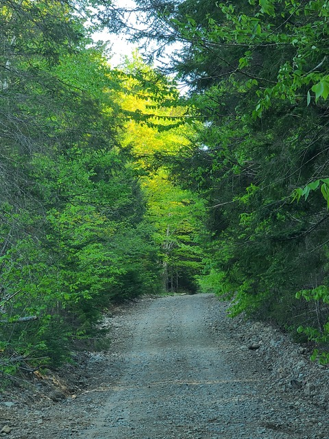 Leaked fallenprincess header onlyfans leaked