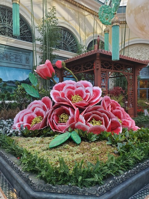 Leaked fionaroze header onlyfans leaked