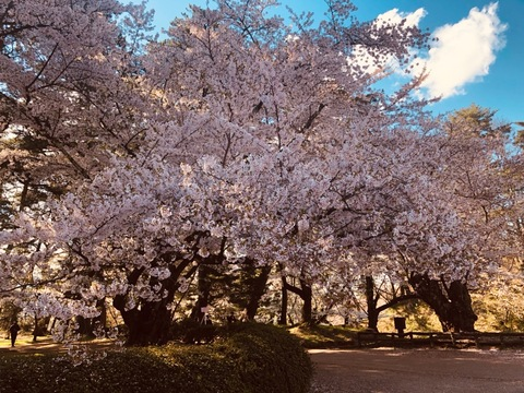 Leaked fishing-man header onlyfans leaked