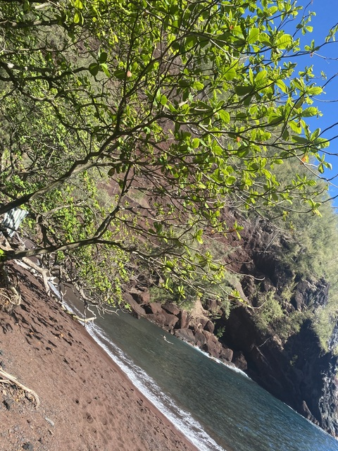 Leaked flacaxoxo header onlyfans leaked