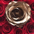 Leaked flyawayjay onlyfans leaked