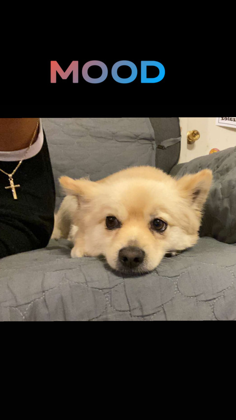 Leaked four11fromheaven header onlyfans leaked