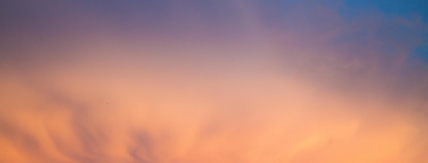 Leaked francescawalls header onlyfans leaked